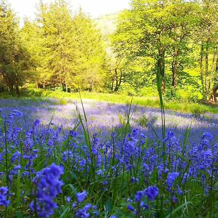 Lobhill Farmhouse Bed And Breakfast And Self Catering Accommodation Okehampton Εξωτερικό φωτογραφία