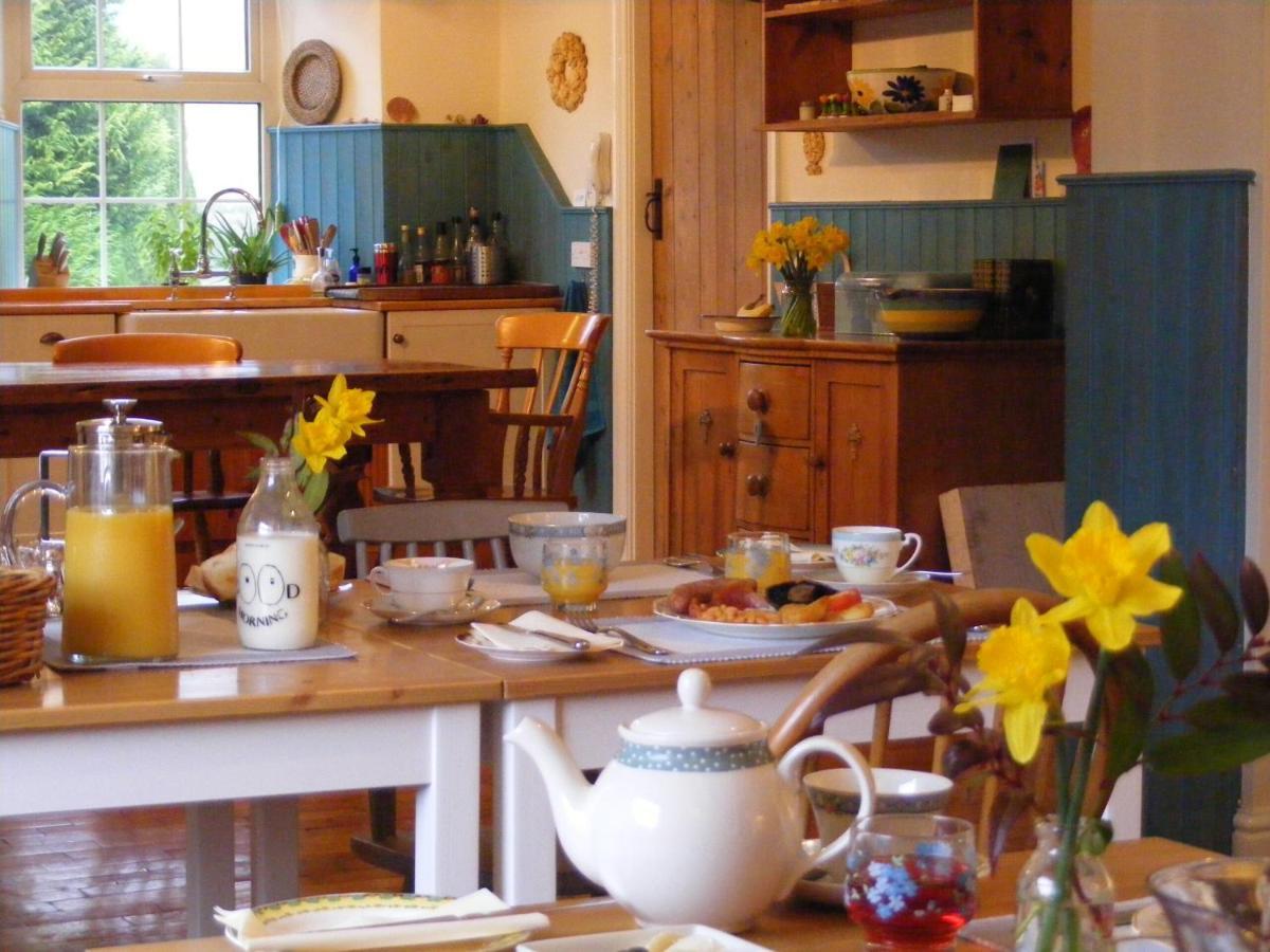 Lobhill Farmhouse Bed And Breakfast And Self Catering Accommodation Okehampton Εξωτερικό φωτογραφία
