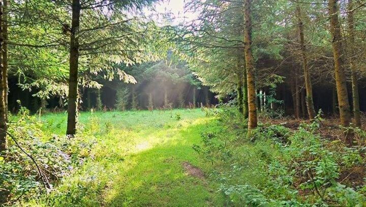 Lobhill Farmhouse Bed And Breakfast And Self Catering Accommodation Okehampton Δωμάτιο φωτογραφία