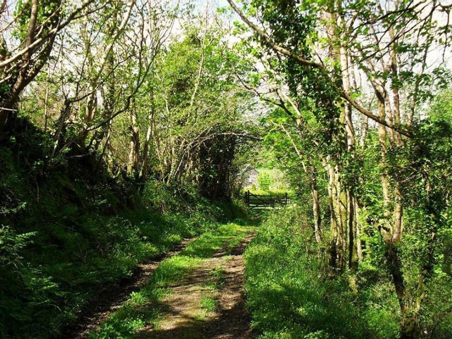 Lobhill Farmhouse Bed And Breakfast And Self Catering Accommodation Okehampton Δωμάτιο φωτογραφία