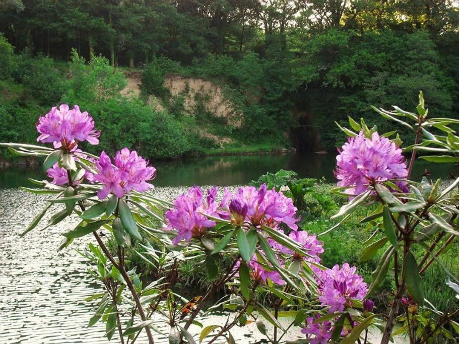 Lobhill Farmhouse Bed And Breakfast And Self Catering Accommodation Okehampton Δωμάτιο φωτογραφία